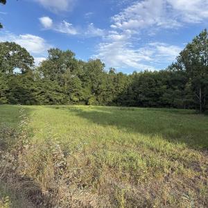 Photo #5 of TBD Dead Ridge Rd, Nichols, SC 31.9 acres