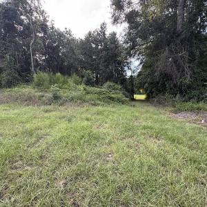 Photo #3 of TBD Dead Ridge Rd, Nichols, SC 31.9 acres