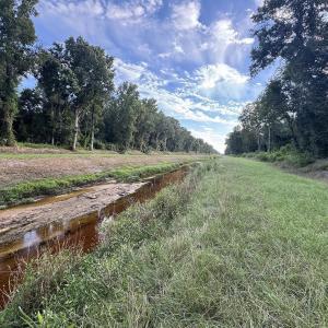 Photo #2 of TBD Dead Ridge Rd, Nichols, SC 31.9 acres