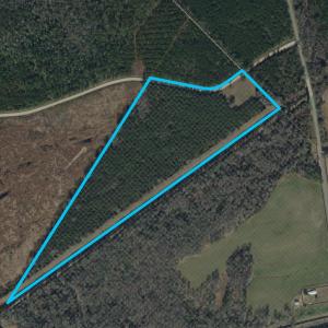 Photo #7 of TBD Dead Ridge Rd, Nichols, SC 31.9 acres