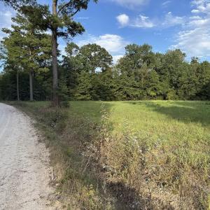 Photo #6 of TBD Dead Ridge Rd, Nichols, SC 31.7 acres