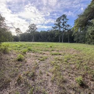 Photo #4 of TBD Dead Ridge Rd, Nichols, SC 31.7 acres