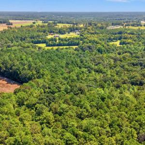 Bird's eye view of a heavily wooded area