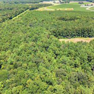 Drone / aerial view of a heavily wooded area