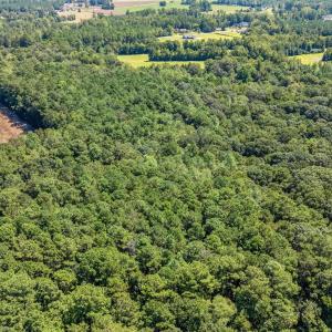 Bird's eye view of a heavily wooded area