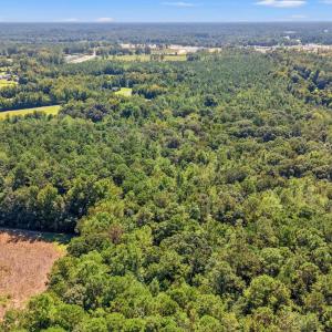 Aerial view of a heavily wooded area