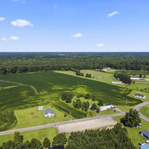 Aerial view of a forest