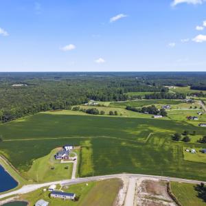 Aerial view of a large body of water and a forest