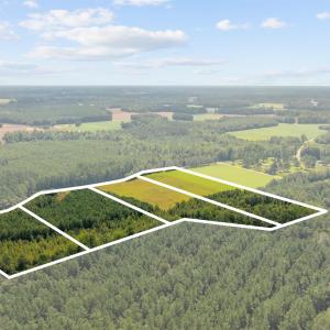 Photo #19 of LOT 4 Womack Rd., Nichols, SC 6.8 acres