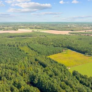 Photo #4 of LOT 4 Womack Rd., Nichols, SC 6.8 acres
