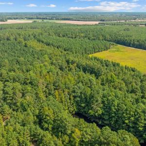 Photo #15 of LOT 4 Womack Rd., Nichols, SC 6.8 acres