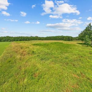 Photo #2 of LOT 4 Womack Rd., Nichols, SC 6.8 acres