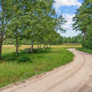Photo #3 of LOT 4 Womack Rd., Nichols, SC 6.8 acres
