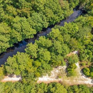 Photo #16 of LOT 4 Womack Rd., Nichols, SC 6.8 acres