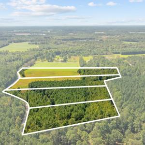 Photo #18 of LOT 4 Womack Rd., Nichols, SC 6.8 acres
