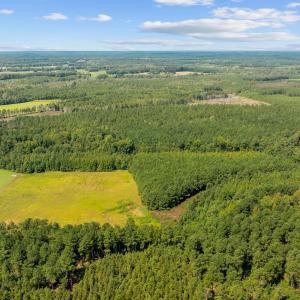 Photo #9 of LOT 4 Womack Rd., Nichols, SC 6.8 acres