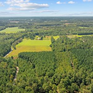 Photo #7 of LOT 4 Womack Rd., Nichols, SC 6.8 acres