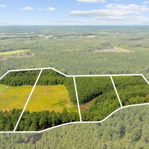 Photo #1 of LOT 4 Womack Rd., Nichols, SC 6.8 acres