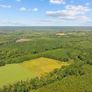 Photo #10 of LOT 4 Womack Rd., Nichols, SC 6.8 acres