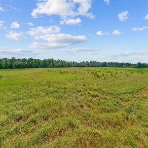 Photo #12 of LOT 4 Womack Rd., Nichols, SC 6.8 acres