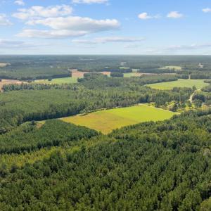 Photo #6 of LOT 4 Womack Rd., Nichols, SC 6.8 acres