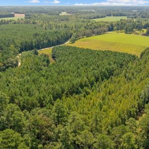Photo #14 of LOT 4 Womack Rd., Nichols, SC 6.8 acres