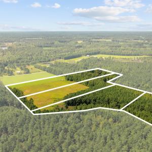 Photo #17 of LOT 4 Womack Rd., Nichols, SC 6.8 acres