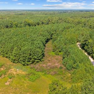 Photo #13 of LOT 4 Womack Rd., Nichols, SC 6.8 acres