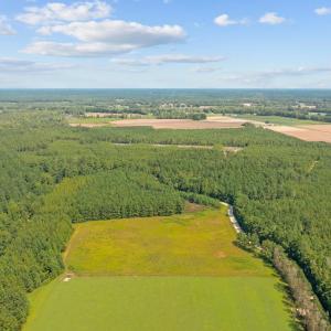 Photo #11 of LOT 4 Womack Rd., Nichols, SC 6.8 acres