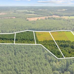 Photo #20 of LOT 4 Womack Rd., Nichols, SC 6.8 acres