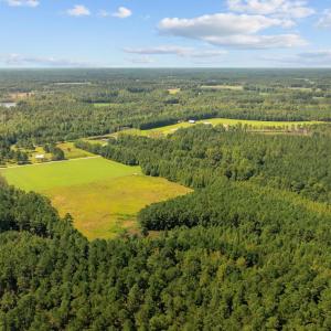 Photo #8 of LOT 4 Womack Rd., Nichols, SC 6.8 acres