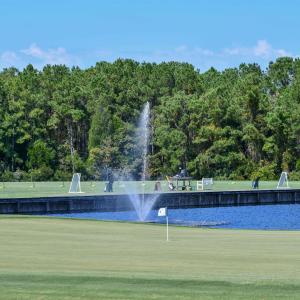 Photo #11 of Lot 327 Wallace Pate Dr., Georgetown, SC 0.7 acres