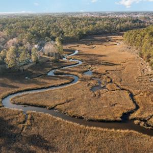 Photo #10 of Lot 12 & 14 Jackson Circle, Little River, SC 0.3 acres
