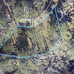 Photo #2 of Lot 12 & 14 Jackson Circle, Little River, SC 0.3 acres