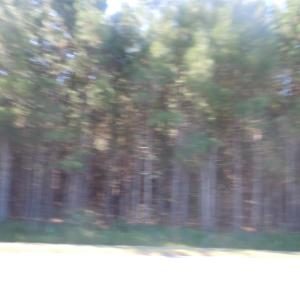 Photo #5 of TBD Near 10547 Andrew Jackson Hwy., Fair Bluff, NC 59.0 acres