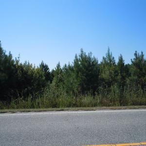 Photo #6 of TBD Near 10547 Andrew Jackson Hwy., Fair Bluff, NC 59.0 acres