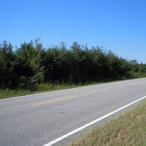 Photo #2 of TBD Near 10547 Andrew Jackson Hwy., Fair Bluff, NC 59.0 acres