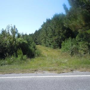 Photo #4 of TBD Near 10547 Andrew Jackson Hwy., Fair Bluff, NC 59.0 acres