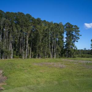 Photo #10 of Lot 23 Caines Ct., Conway, SC 1.1 acres