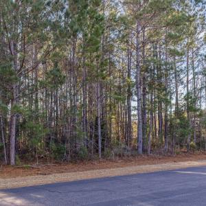 Photo #9 of 141 Planters Creek Dr., Myrtle Beach, SC 0.5 acres