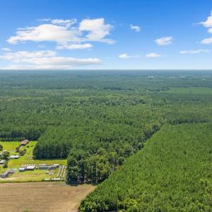 Bird's eye view of a heavily wooded area