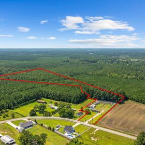 Bird's eye view of a heavily wooded area