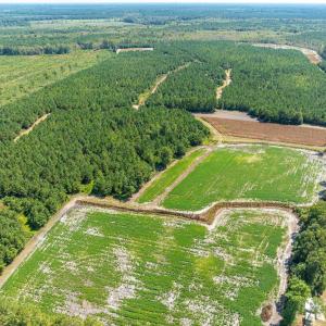 Aerial view of property and surrounding area with