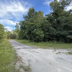 Photo #5 of TBD Griffins Landing Rd., Nichols, SC 1.4 acres