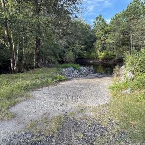 Photo #2 of TBD Griffins Landing Rd., Nichols, SC 1.4 acres
