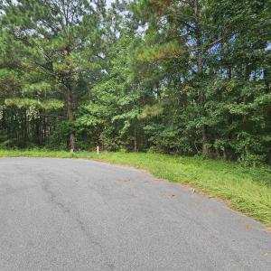 Photo #1 of 8340 Bucksport Heights Circle, Conway, SC 0.2 acres