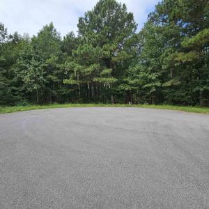 Photo #1 of 8344 Bucksport Heights Circle, Conway, SC 0.3 acres