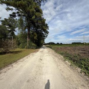 View of dirt / gravel road with a view of rural /