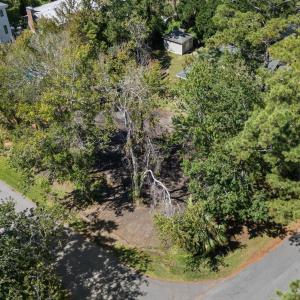 Drone / aerial view of a tree filled landscape