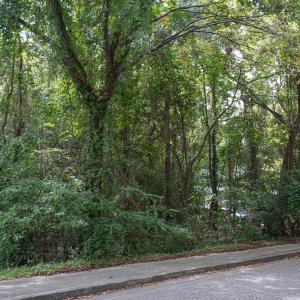 Photo #4 of 1211 Washington St., Myrtle Beach, SC 0.2 acres